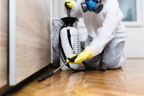Best Pest Removal Services  in Nevada, MO