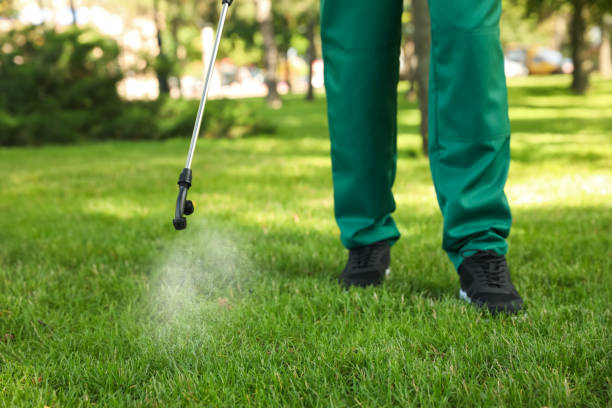 Trusted Nevada, MO Pest Control Experts