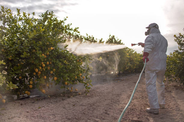 Best Pest Inspection Near Me  in Nevada, MO