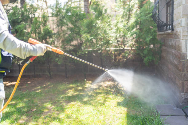 Best Wasp Removal Services  in Nevada, MO