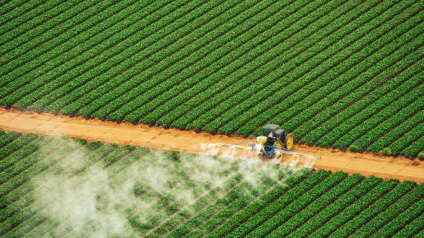 Best Pest Removal Services  in Nevada, MO