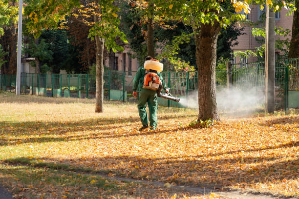 Pest Control Cost in Nevada, MO