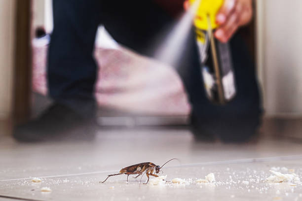 Best Residential Pest Control  in Nevada, MO