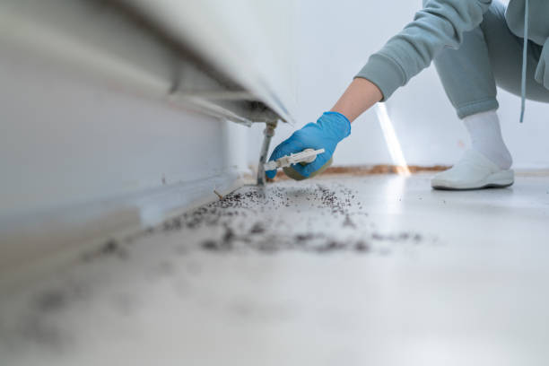 Best Cockroach Control Services  in Nevada, MO