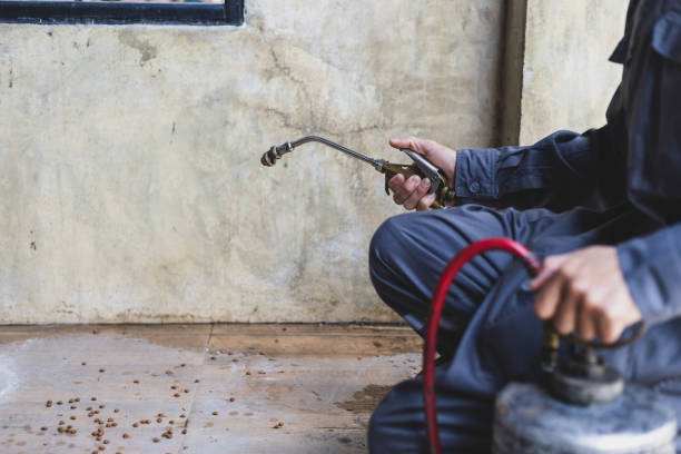 Best Pest Control for Businesses  in Nevada, MO