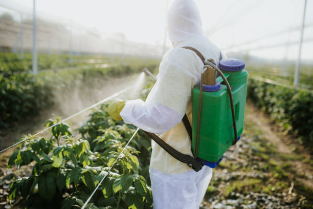 Best Termite Control Services  in Nevada, MO